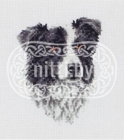 Набор для вышивания Anchor - Border Collie