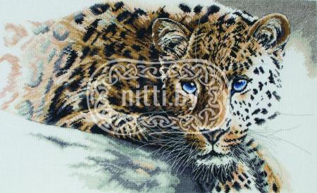 Набор для вышивания Anchor Maia - Rare Beauty