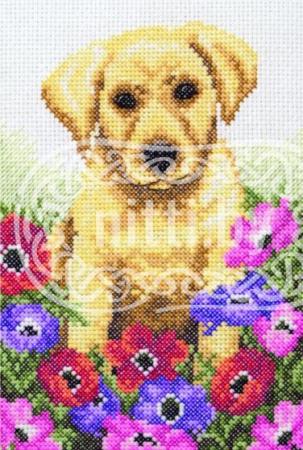Набор для вышивания Anchor - Puppy