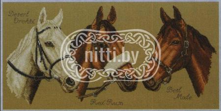 Набор для вышивания Anchor - Three Champions